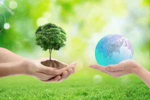 The Physical Recycling Pathway for Polystyrene Foam: Technological Maturity, Economic Viability, and Application Prospects The Physical Recycling Pathway for Polystyrene Foam: Technological Maturity, Economic Viability, and Application Prospects