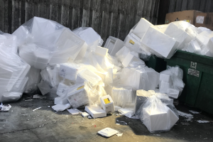 Application and Effectiveness of Hot Melt Compaction Technology in EPS Foam Recycling Across Europe Application and Effectiveness of Hot Melt Compaction Technology in EPS Foam Recycling Across Europe